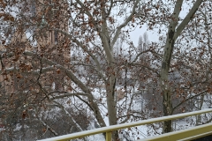 20260109-Schnee-in-Wien