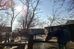 20260118-Reiten