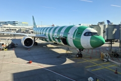 20260302-Ringelsocke