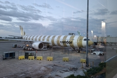 20260316-Ringelsocke